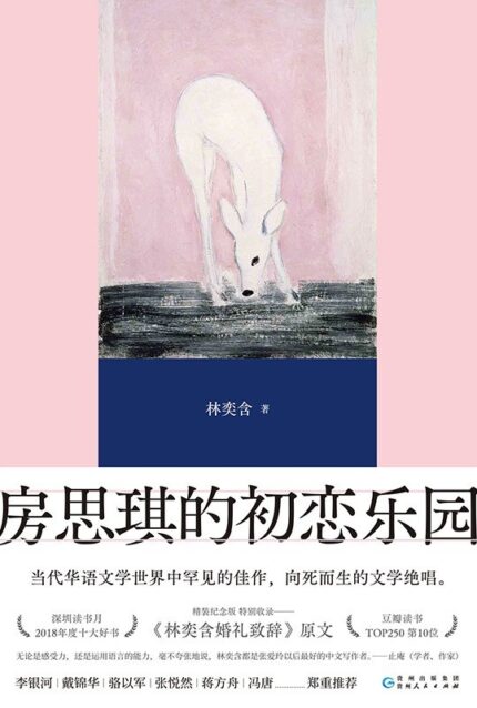 房思琪的初恋乐园 精装