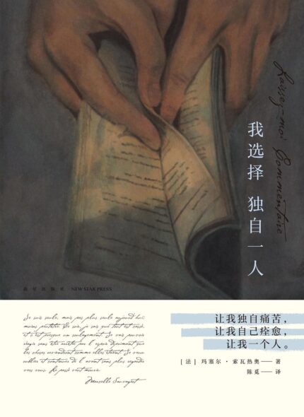 我选择独自一人 精装